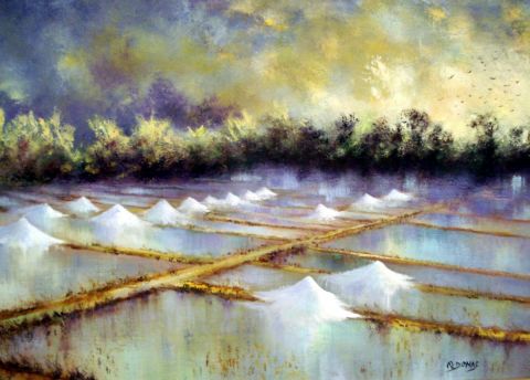 Marais salants